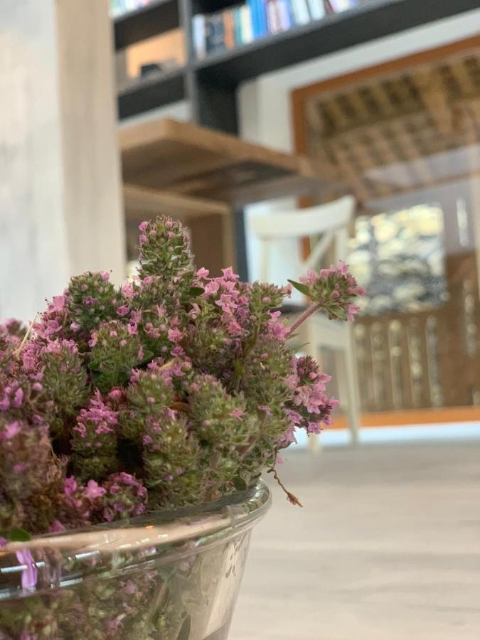 Casa Thymus Villa Soveja Buitenkant foto
