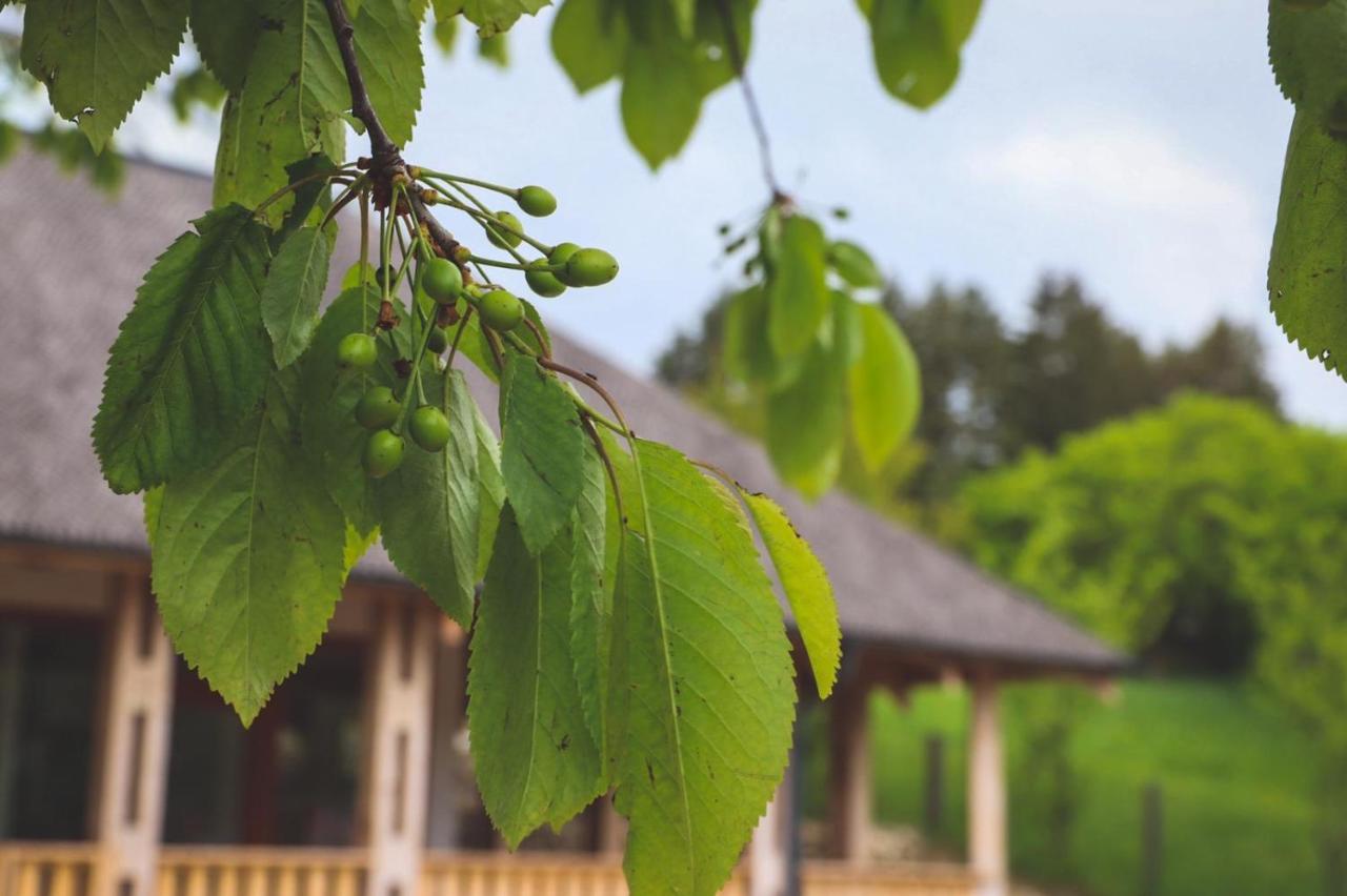 Casa Thymus Villa Soveja Buitenkant foto