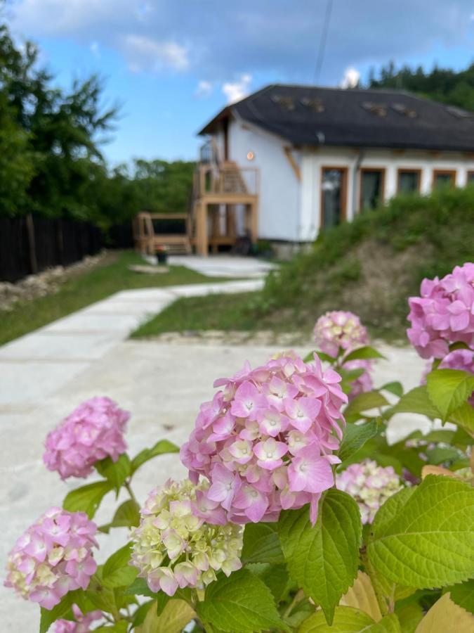 Casa Thymus Villa Soveja Buitenkant foto
